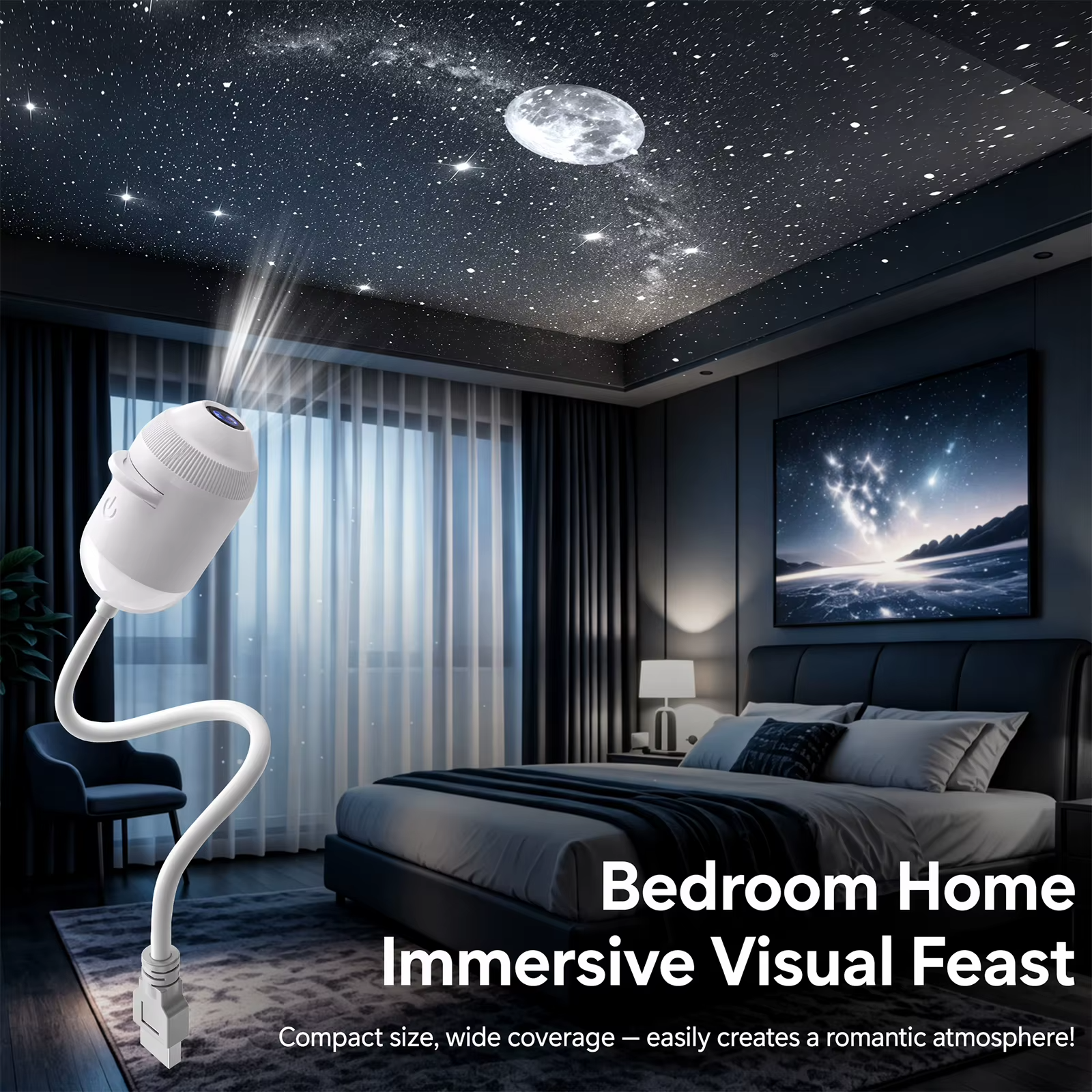 Projector view 4
